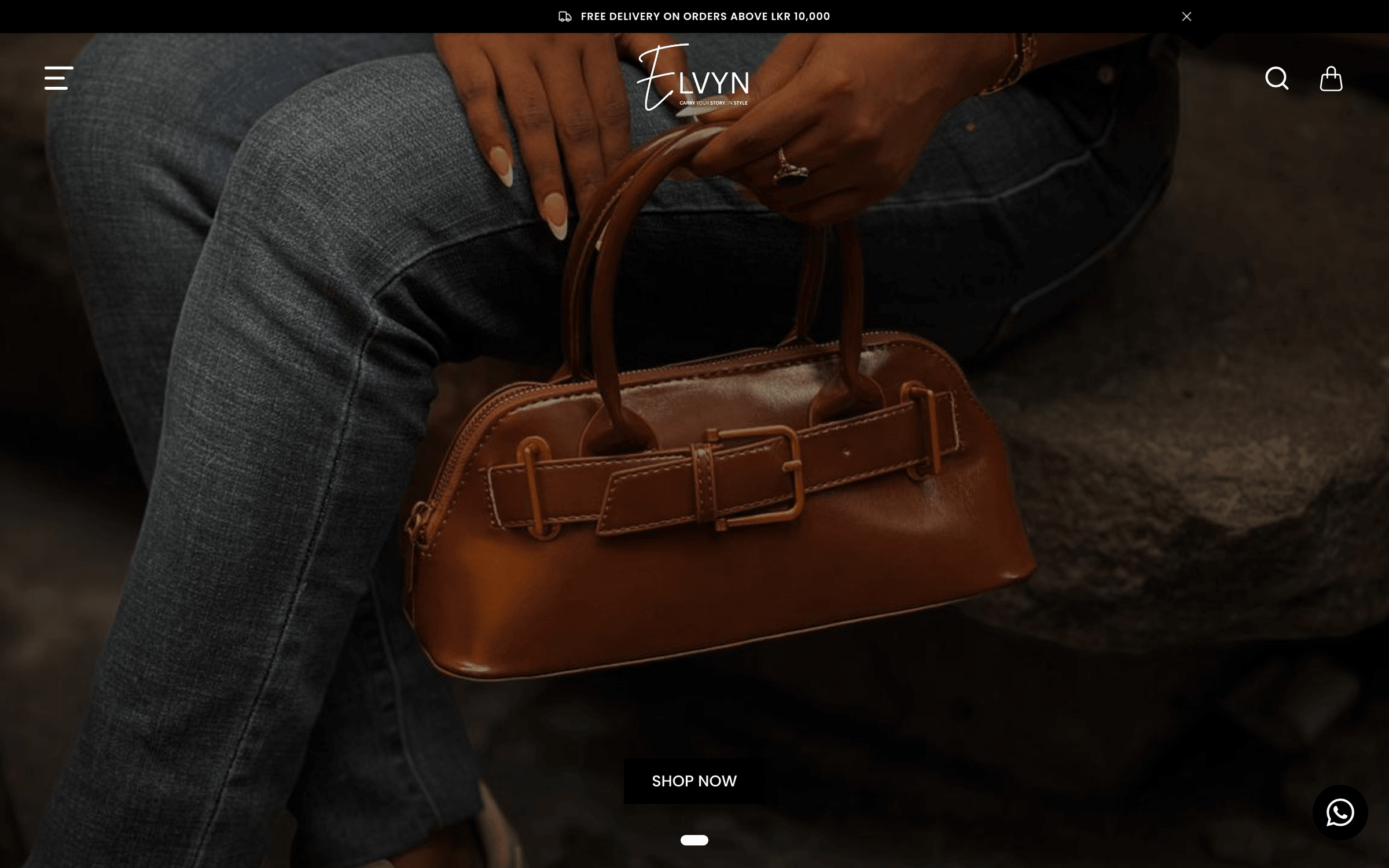 Screenshot of the Elvyn digital experience