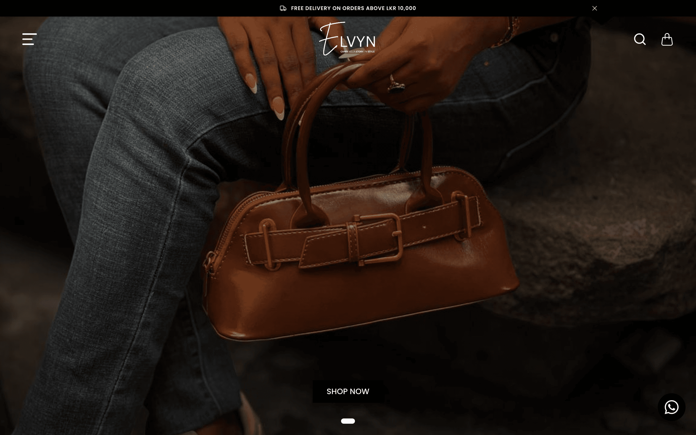 Elvyn website, full view